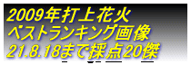2009年打上花火 ベストランキング画像
