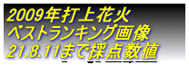 2009年打上花火 ベストランキング画像