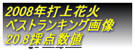 2008年打上花火 ベストランキング画像