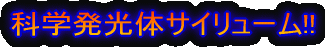 ��l�C!!���h�h��� �N���b�J�[DON�V���[�Y
