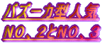 �o�Y�[�J�^�l�CNO�A�P