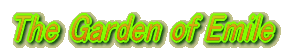 �G�~�[���̒� 