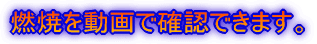 �R�Ă𓮉�Ŋm�F���ł��܂��B