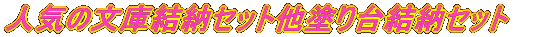 �l�C�̕��Ɍ��[�Z�b�g���h��䌋�[�Z�b�g