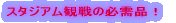 �X�^�W�A���ϐ�̕K���i�I